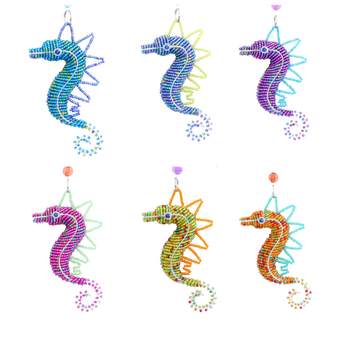 Baby Seahorse