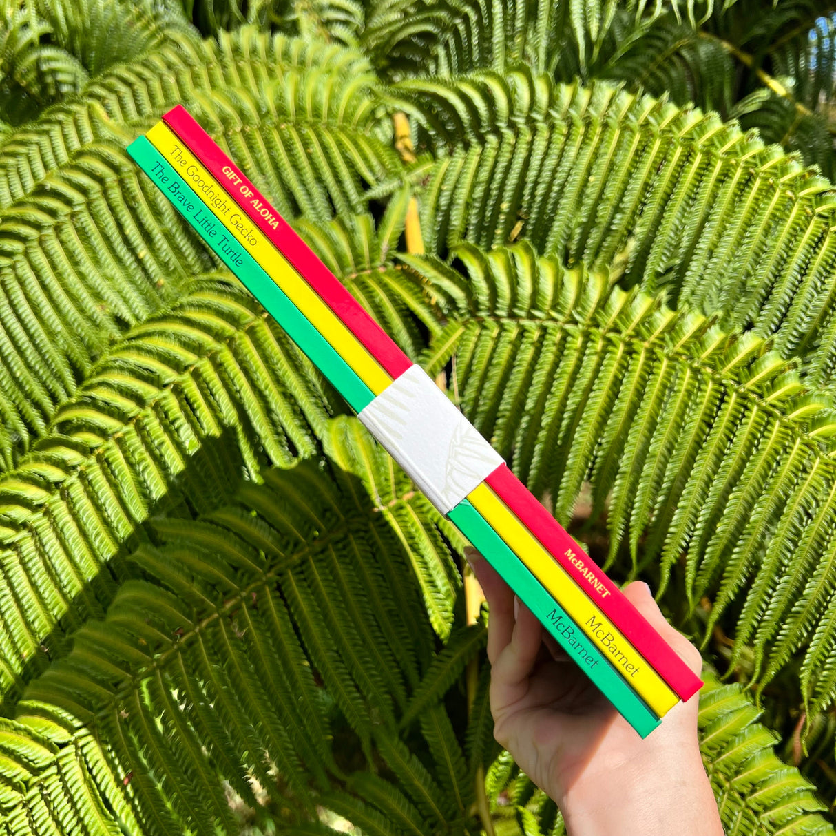 The Classics Collection Set