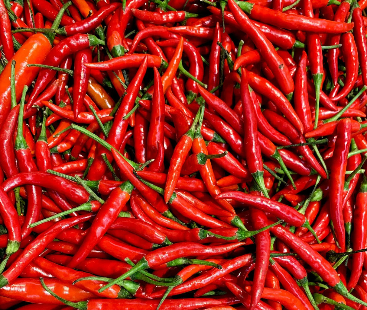 CHIHUAHUA CHILI POWDER 1.8 Oz