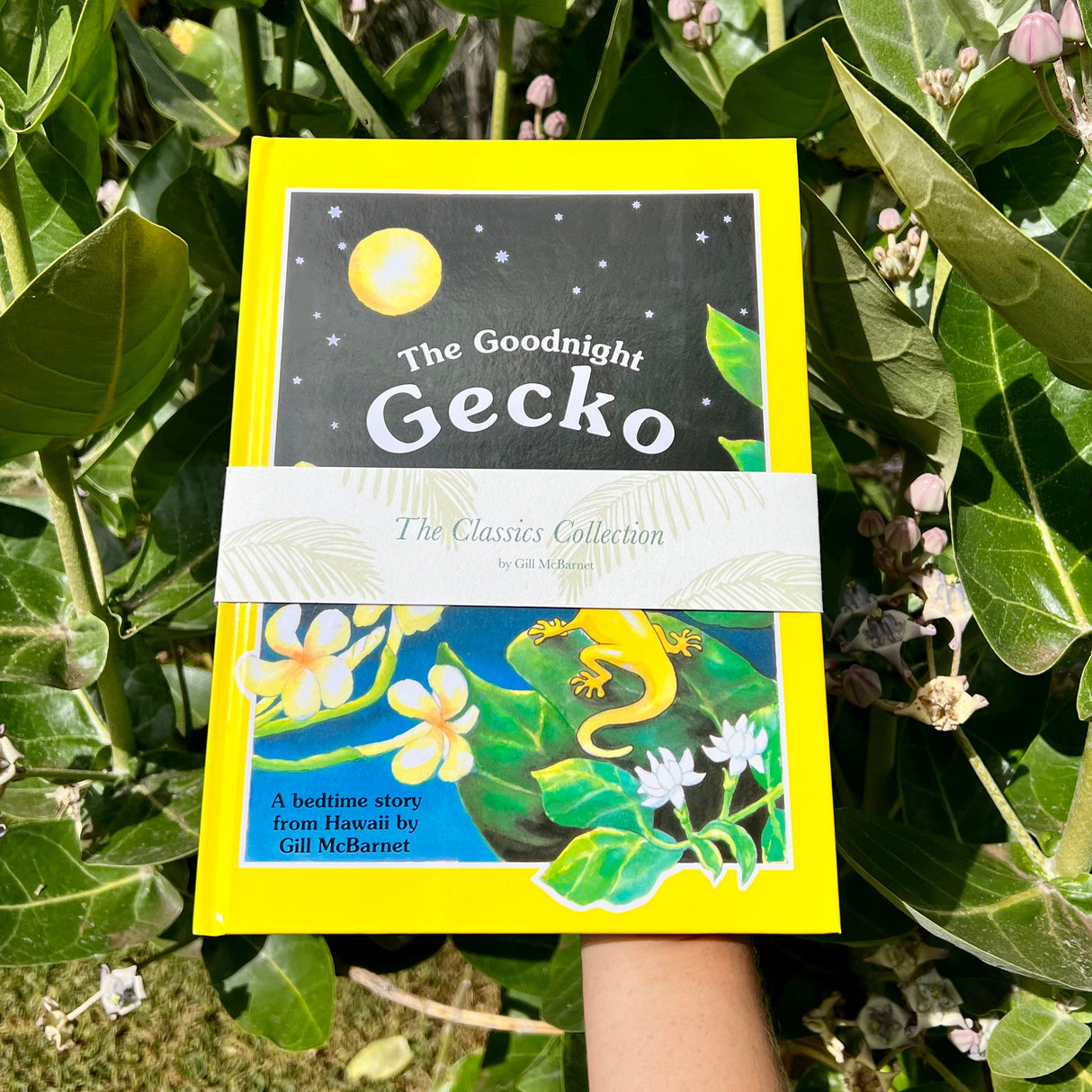 The Classics Collection Set