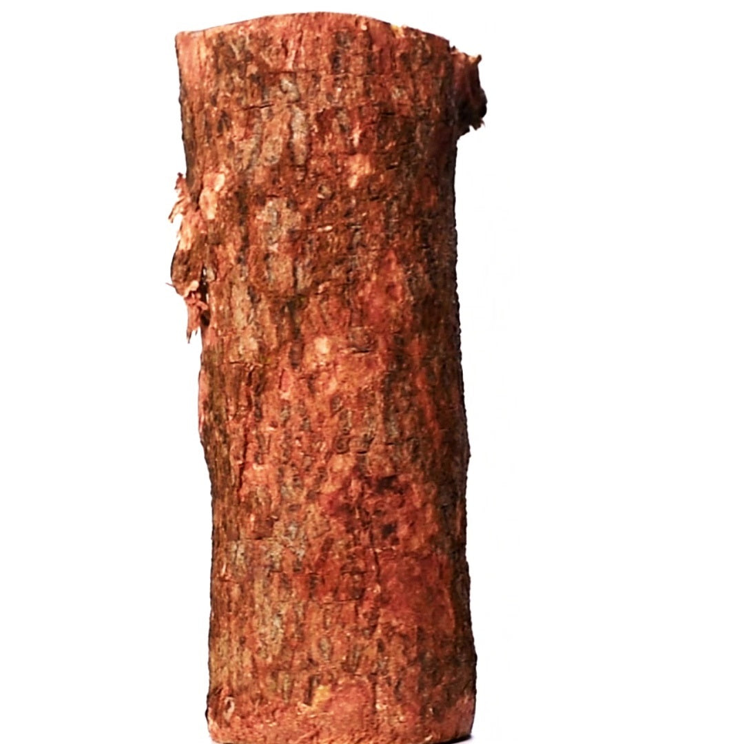 Men Carved Inside A Raw Neem Tree Trunk 4