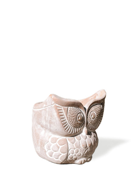 Terracotta Pot - Big Eye Owl-2