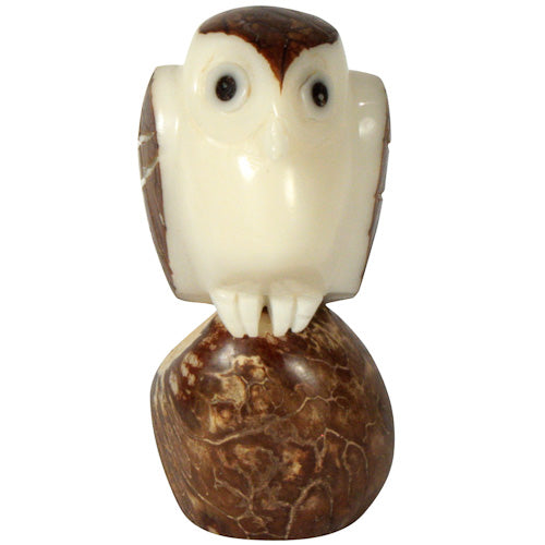 Brown Owl Tagua Nut Figurine
