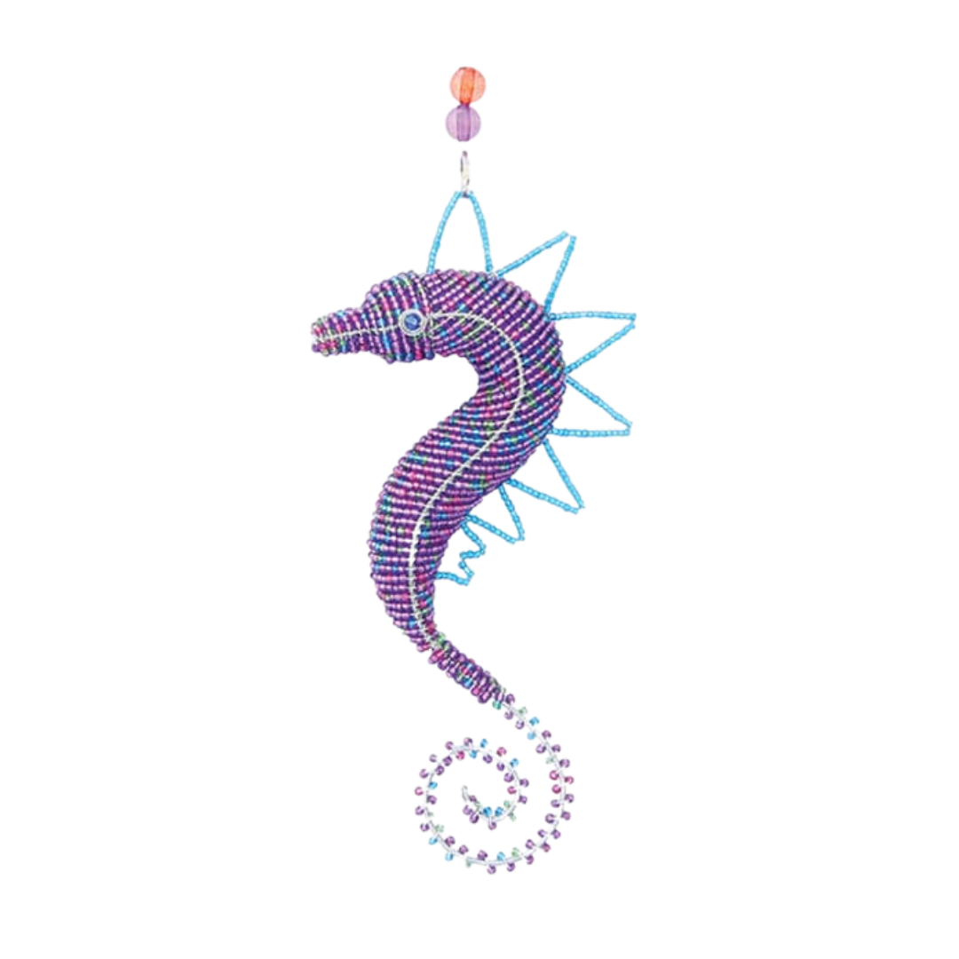 Baby Seahorse