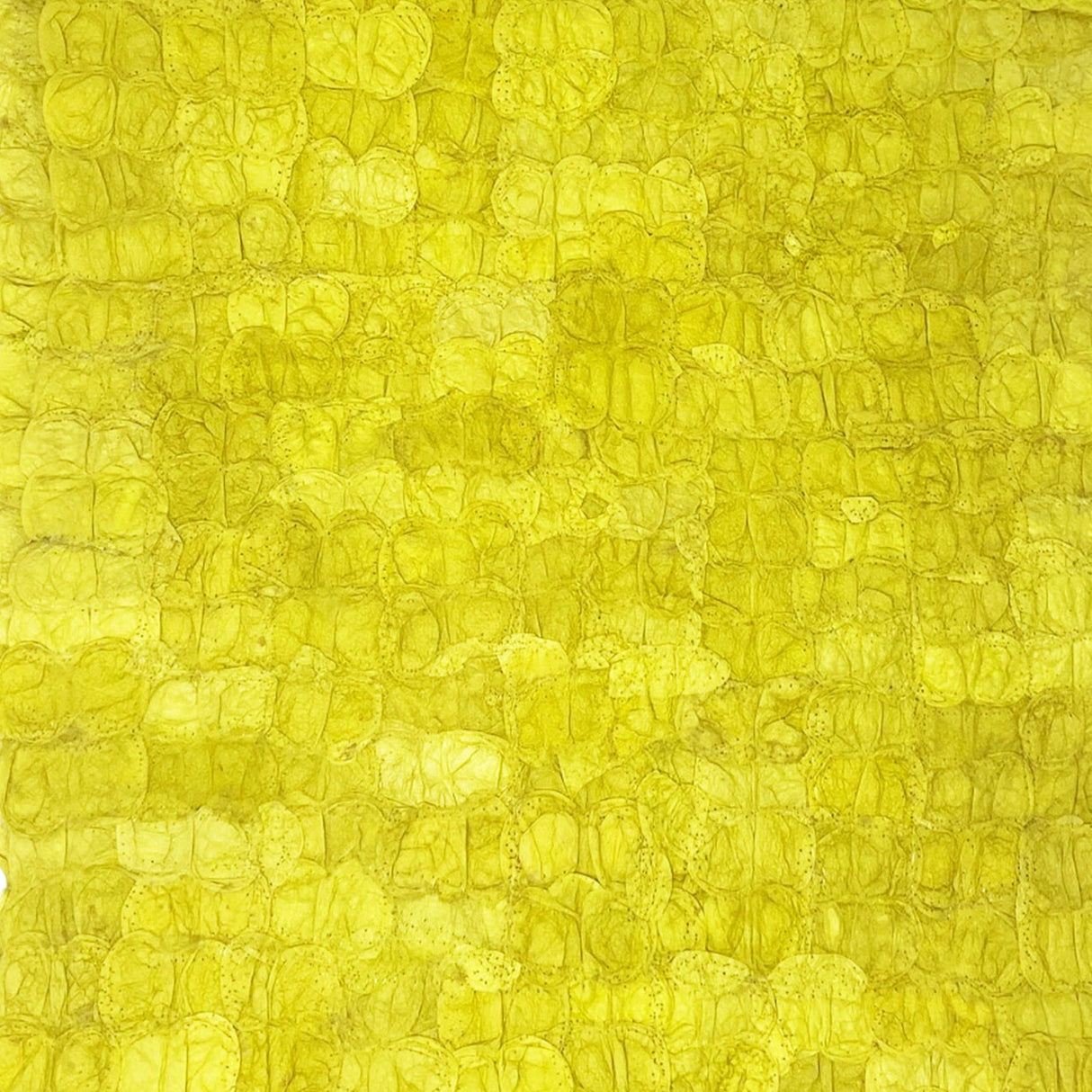 Mulberry Silk Charger (Pair) - Chartreuse