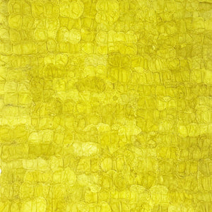 Mulberry Silk Charger (Pair) - Chartreuse