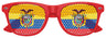 ECUADOR FLAG World Cup Party Sunglasses
