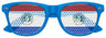 PARAGUAY FLAG World Cup Party Sunglasses