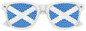 SCOTLAND FLAG World Cup Party Sunglasses