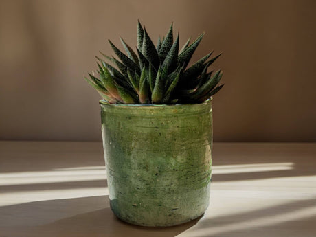 Handmade Moroccan Vintage Shaded Green Glaze Tamegroute Planter/Pot: Unique Ceramic Pottery for Plants or Utensils-3