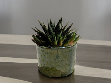 Handmade Moroccan Vintage Shaded Green Glaze Tamegroute Planter/Pot: Unique Ceramic Pottery for Plants or Utensils-2