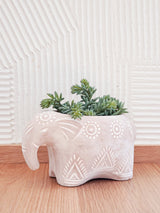 Terracotta Pot - Folk Elephant-1