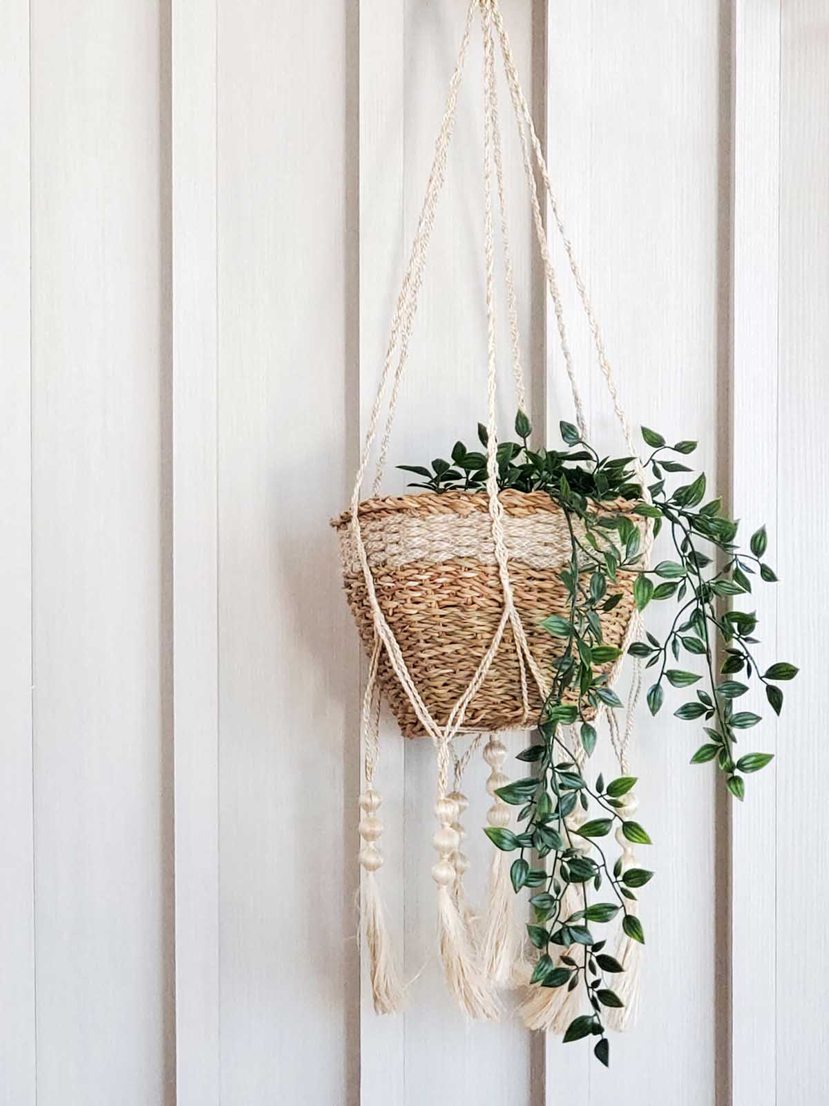 Plant Hanger - Fiora-1