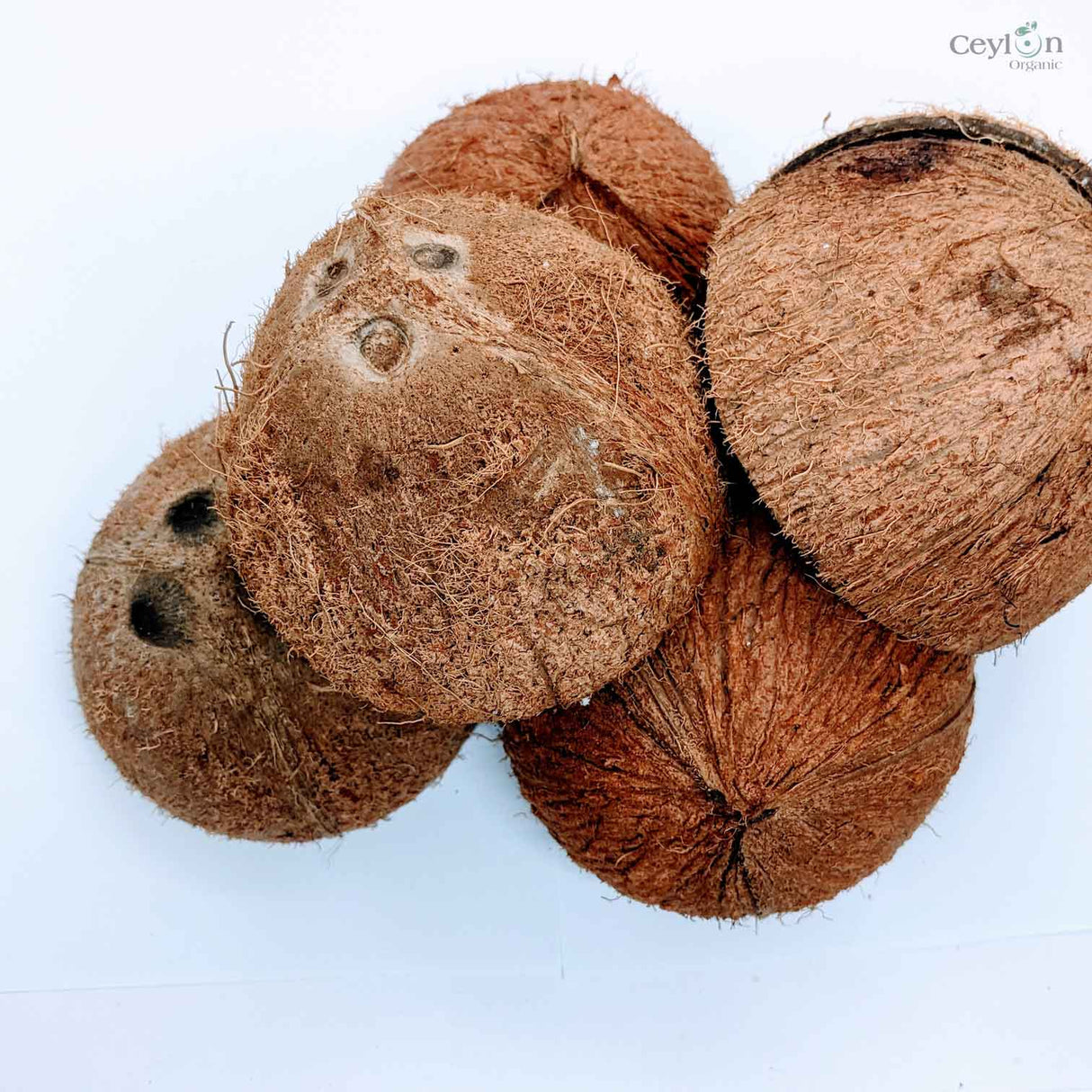 Coconut Shell Crafts: Sustainable Home Decor | Ceylon Organic-2