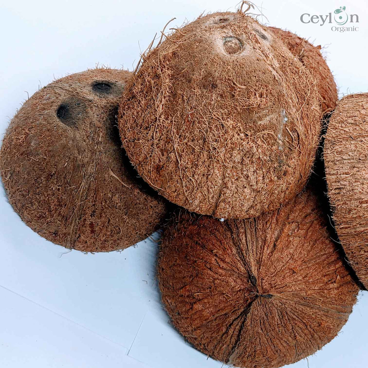 Coconut Shell Crafts: Sustainable Home Decor | Ceylon Organic-3