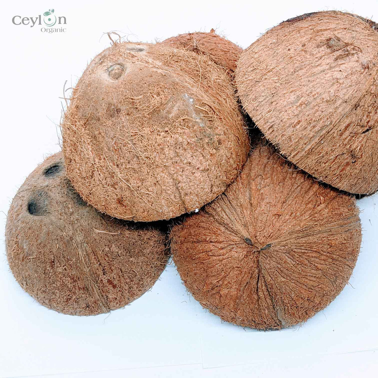 Coconut Shell Crafts: Sustainable Home Decor | Ceylon Organic-4