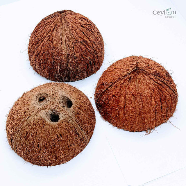 Coconut Shell Crafts: Sustainable Home Decor | Ceylon Organic-0