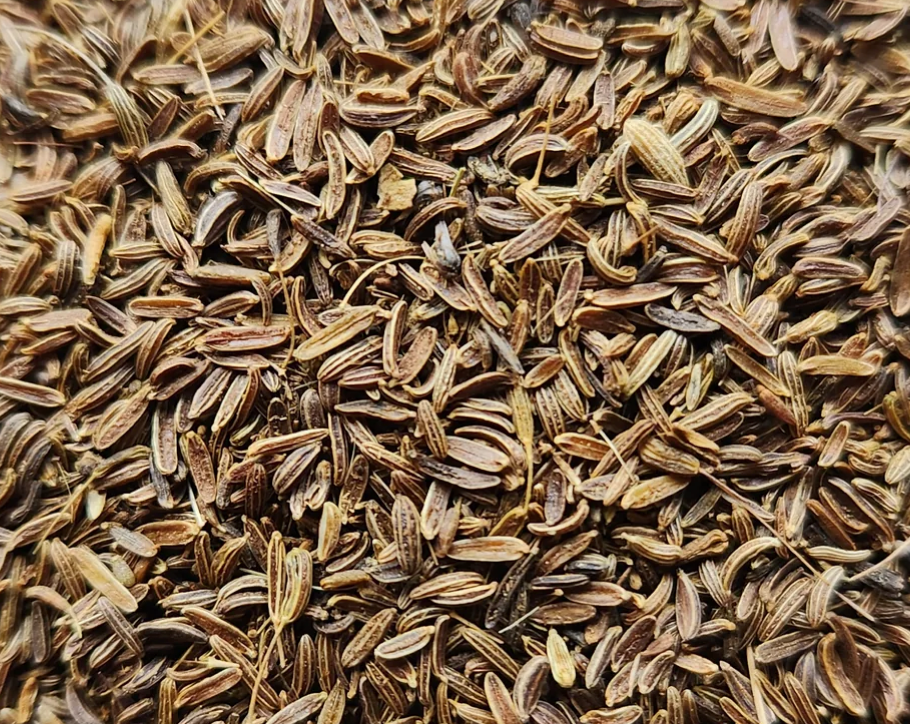 Afghanistan Wild Mountain Cumin