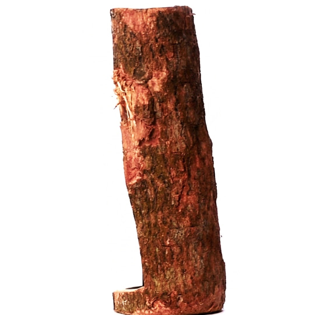 Men Carved Inside A Raw Neem Tree Trunk 3